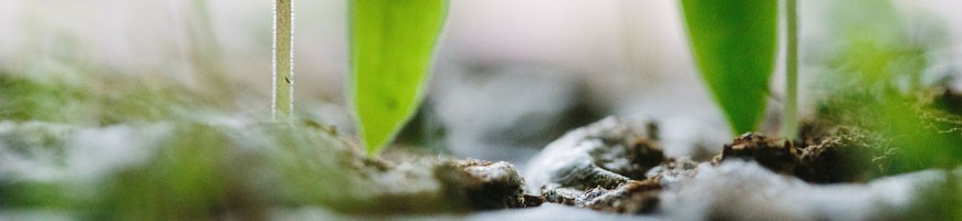 Agriculture et élevage