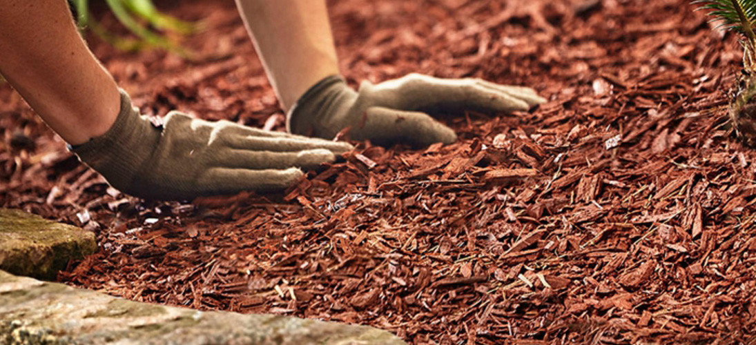 Le printemps arrive !